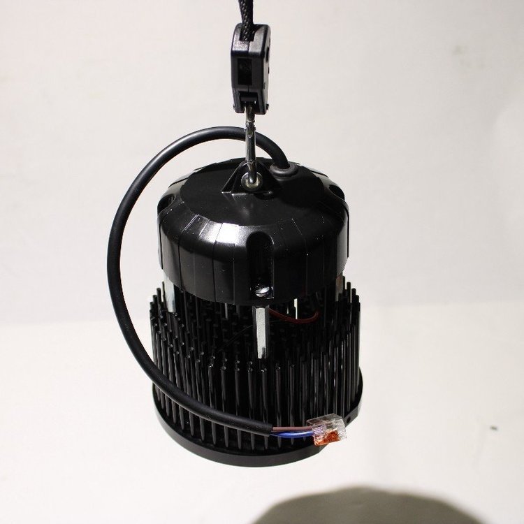 cw-member-spot-unique-50w-citizen-clu048.jpg
