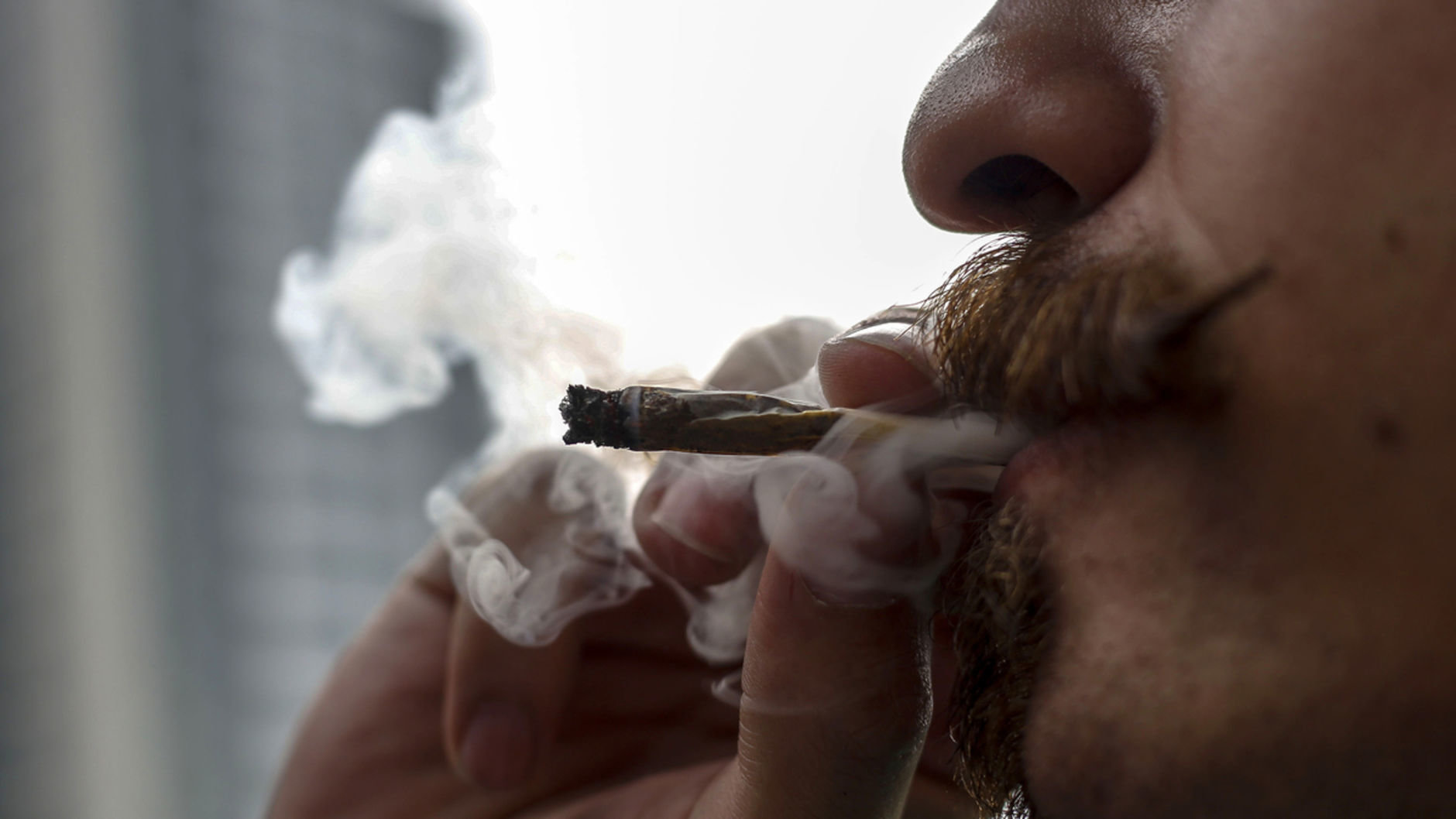 Une étude explique pourquoi les effets du cannabis varient d'une personne à l'autre