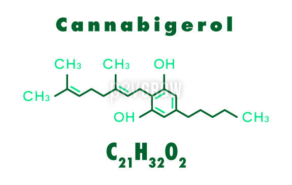 Panákeia, cannabis avec taux élevé de CBG et sans THC