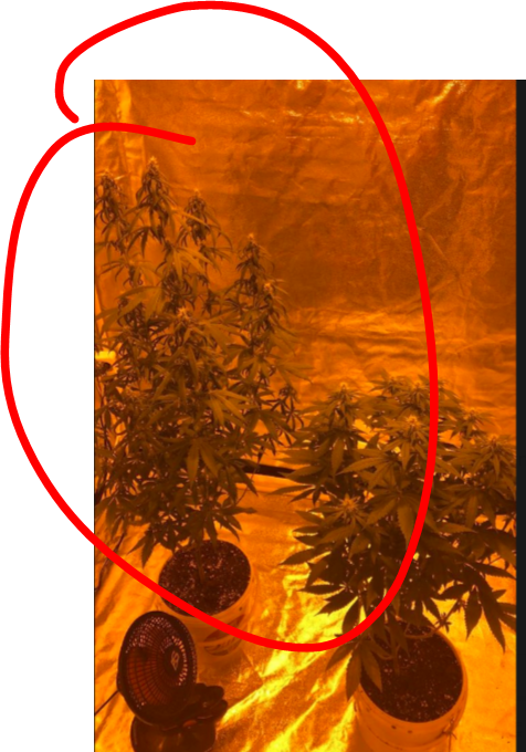 image.png.08e6ec9a8755228620490587d58f71ea.png