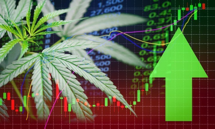 Cannabis : Un rendement boursier spectaculaire sur les 3 dernières années