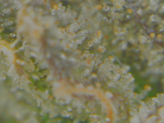 20-02-10 142610.png