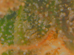 20-02-13 152113.png