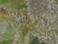 20-02-10 142559.png
