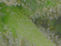 20-02-10 142458.png