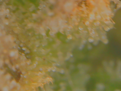 20-02-13 152024.png