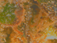 20-02-13 152011.png
