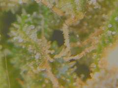 20-02-13 152047.png