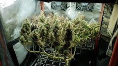 20200202_163608.jpg