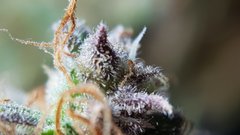 20200202_165258.jpg
