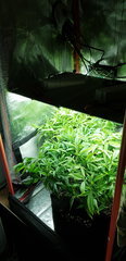 20200209_234347.jpg