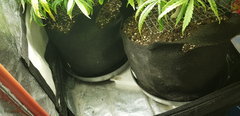 20200213_121734.jpg
