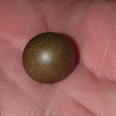 20200213_140544_crop_19.jpg