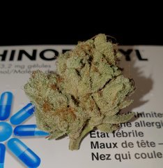 Karma og