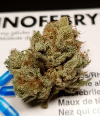 Karma og