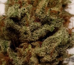 Karma og
