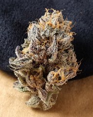 Key lime pie x Dosidos
