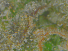 20-02-10 142633.png