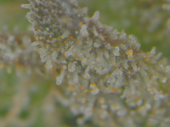 20-02-10 142555.png