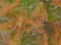 20-02-13 152004.png