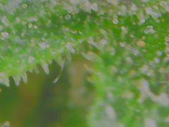 20-02-10 142535.png