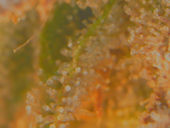 20-02-13 152217.png