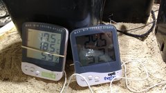 IMG_20200201_072100599_cleaned.jpg