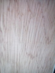 IMG_20200202_222603.jpg