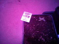 IMG_20200202_222810.jpg