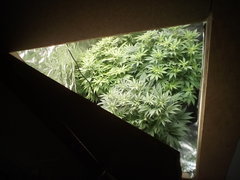 IMG_20200202_222851.jpg