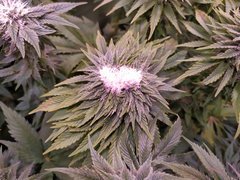 IMG_20200205_213223.jpg