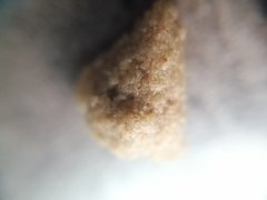 Ice o later 72mc