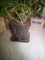IMG_20200209_231022.jpg