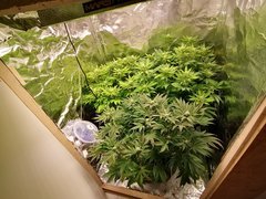 IMG_20200210_230432.jpg