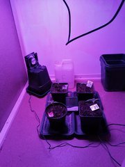 IMG_20200210_230542.jpg