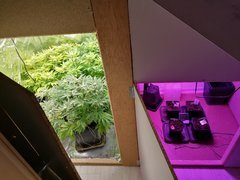 IMG_20200210_230554.jpg