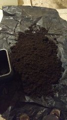 IMG_20200213_200612421_cleaned.jpg