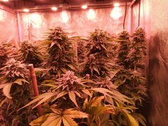 IMG_20200221_212142.jpg