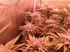 IMG_20200221_212157.jpg