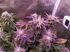 IMG_20200221_212218.jpg