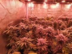 IMG_20200221_212243.jpg