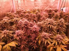 IMG_20200221_212301.jpg