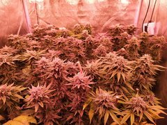 IMG_20200221_212303.jpg