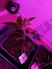 IMG_20200223_214330.jpg