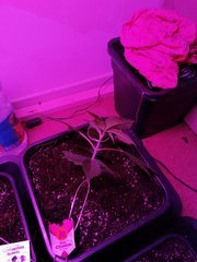 IMG_20200223_214333.jpg