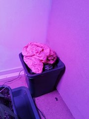IMG_20200223_214350.jpg