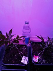 IMG_20200223_214352.jpg