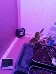 IMG_20200223_214354.jpg