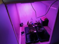 IMG_20200223_214401.jpg