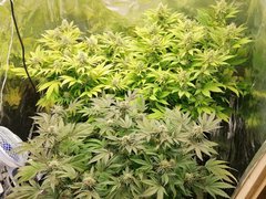IMG_20200223_214541.jpg